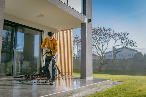 Best Boat and Dock Cleaning  in Springerville, AZ