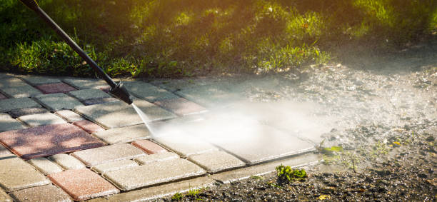 Best Soft Washing  in Springerville, AZ