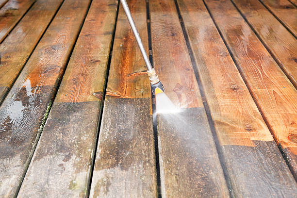 Best Warehouse Cleaning  in Springerville, AZ